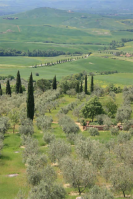 Paysage du Val d'Orcia