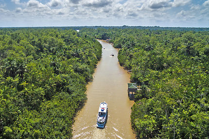 Brésil : voyage au fil de l’Amazone 