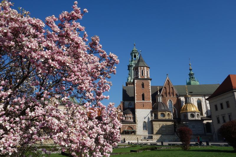 Cathédrale du Wawel au printemps Cathédrale du Wawel au printemps