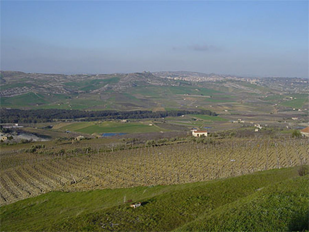 Paysage de Naro