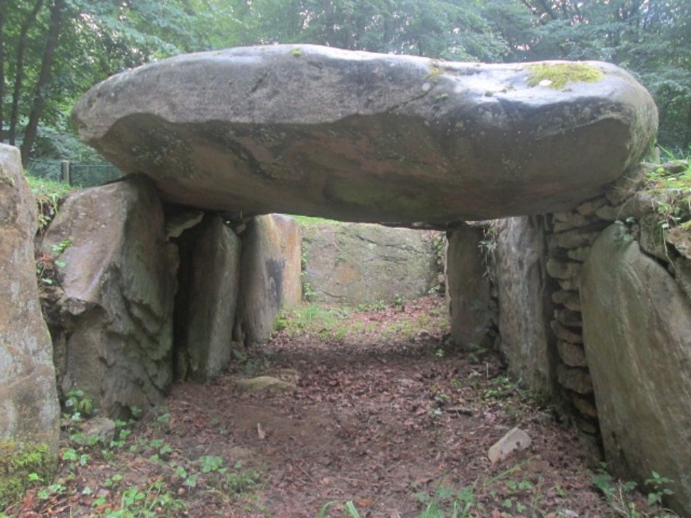 Dolmen de la Pierre Plate