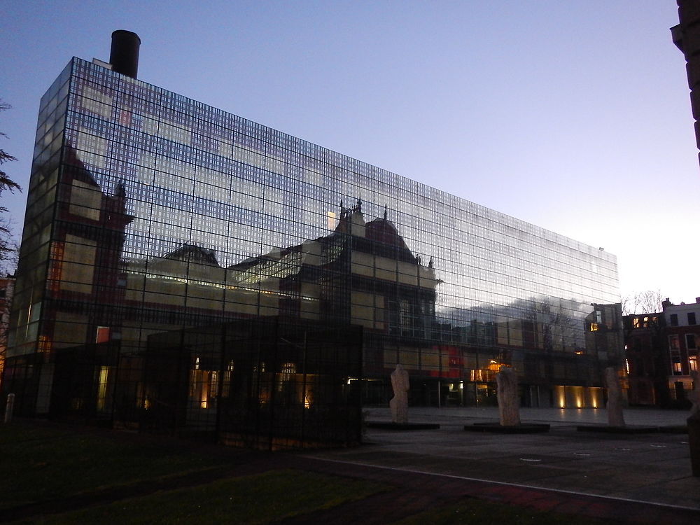 Réflexion du Palais des Beaux-Arts