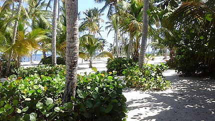 Vacances à Punta Cana