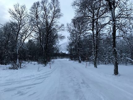 Promenade en famille autour de Tromsø