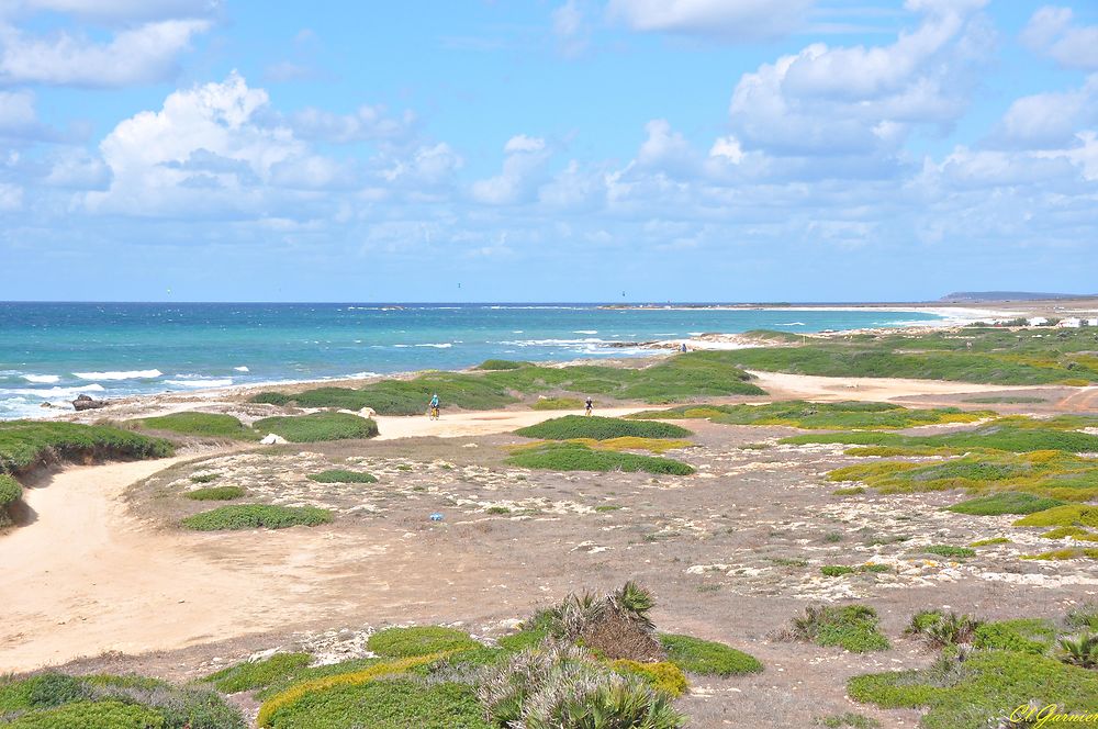 Spiaggia Is Arutas - Plage aux grains de riz