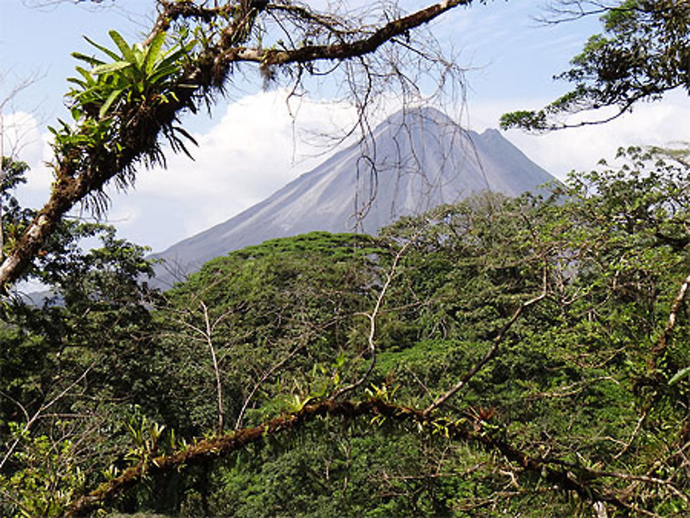 Canopée et l'Arenal