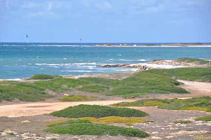 Spiaggia Is Arutas - Plage aux grains de riz