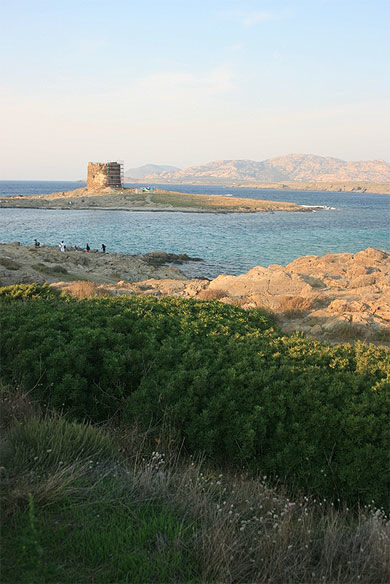 Vue sur l'isola Asinara et l'isola Piana