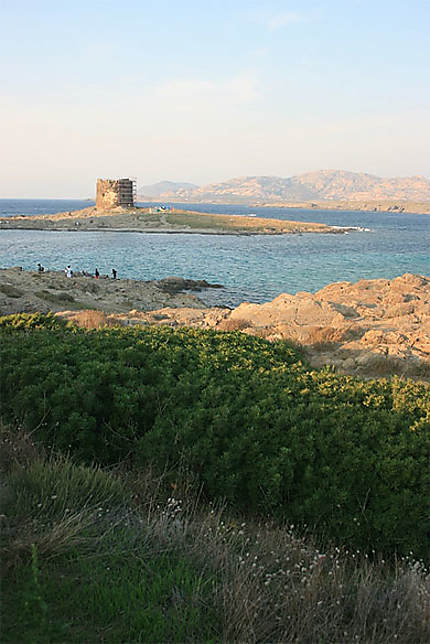 Vue sur l'isola Asinara et l'isola Piana