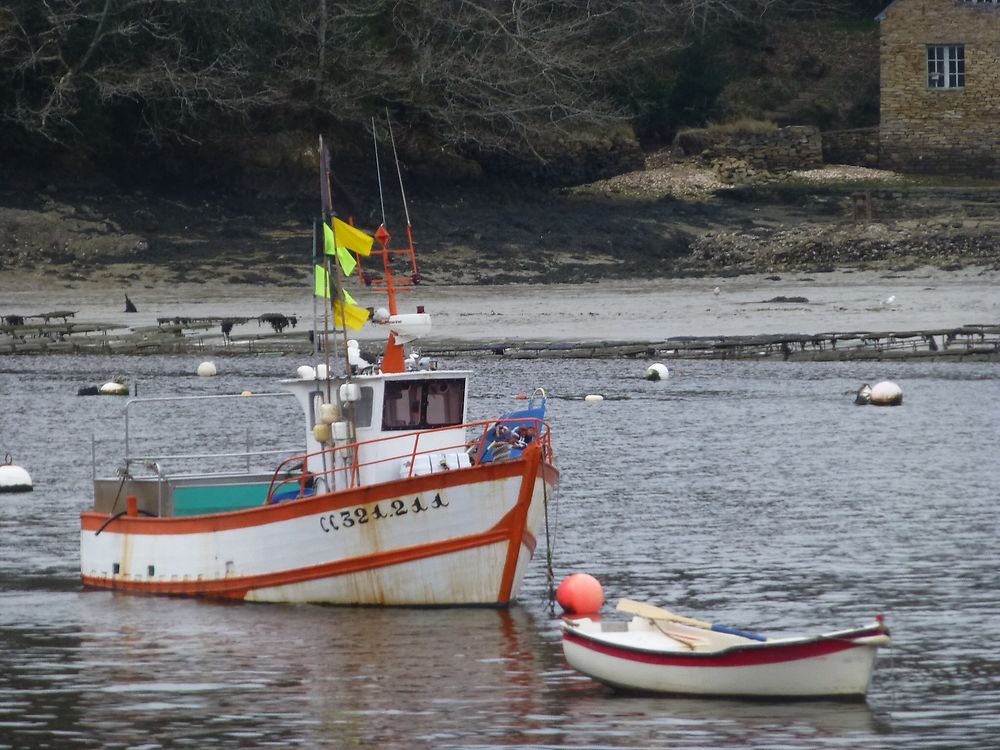 Port de pêche de Belon 