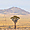 Paysage du Namib