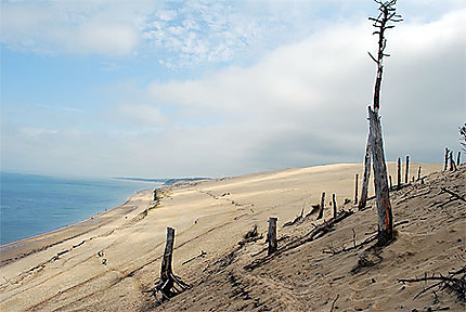 La Dune
