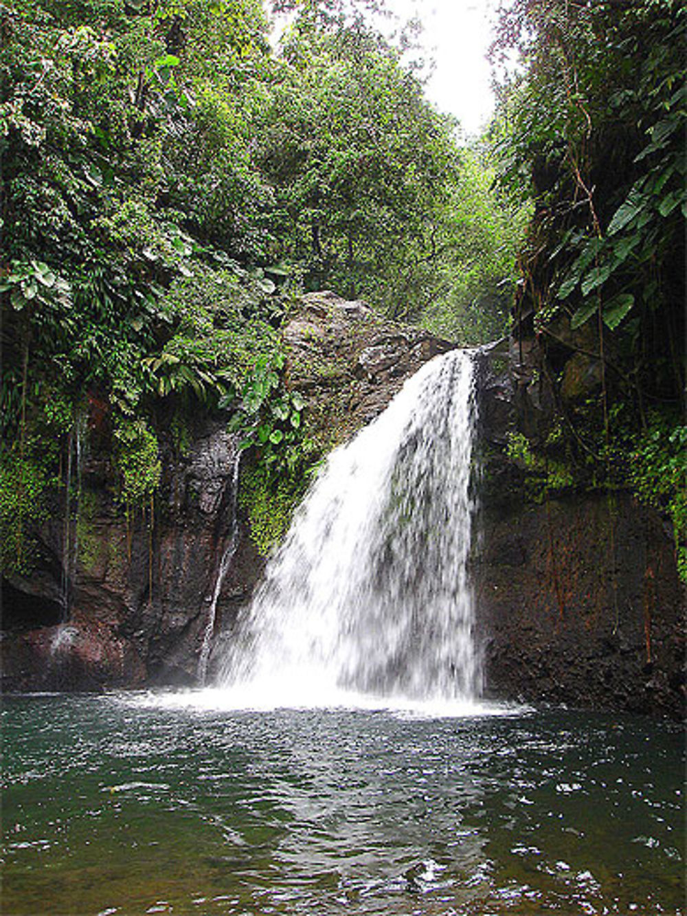 Saut de la lezarde