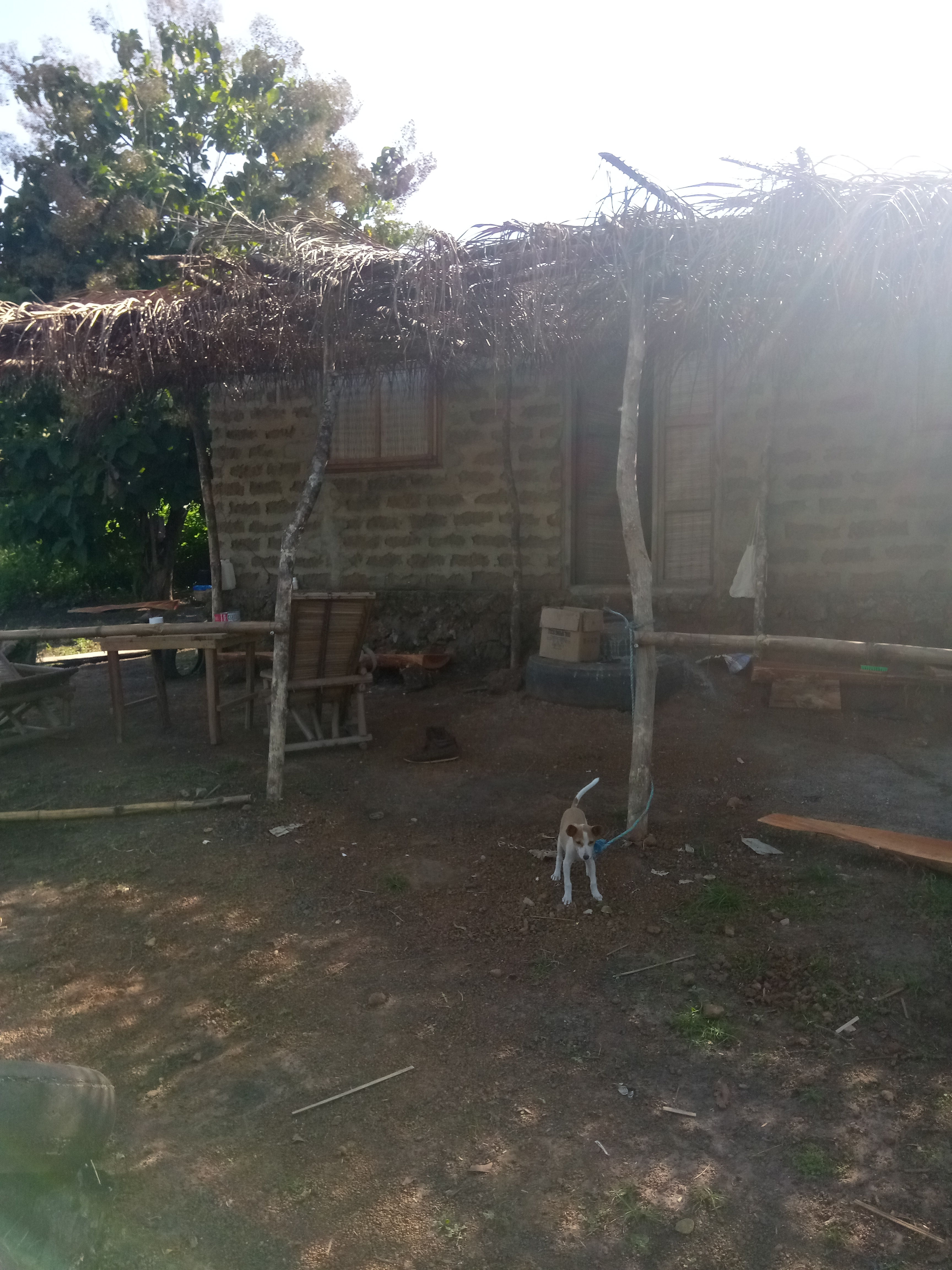 Maison d'hôtes entre Sokodé et Tchamba, Togo