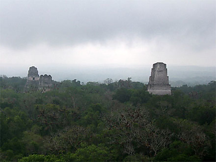 Tikal, Temple IV