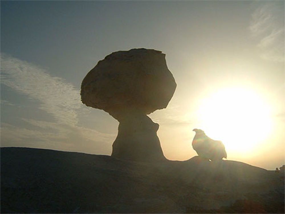 Egypte désert blanc 