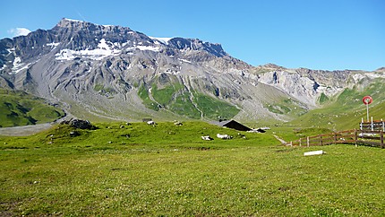 Adelboden et les Alpes bernoises