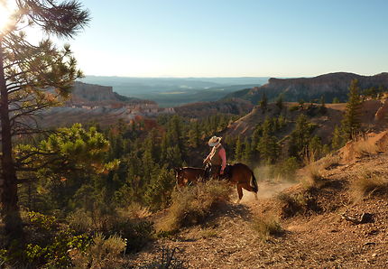 Cowboy à Bryce Canyon