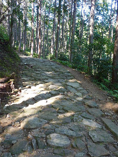 Chemin de pèlerinage de Kumano 
