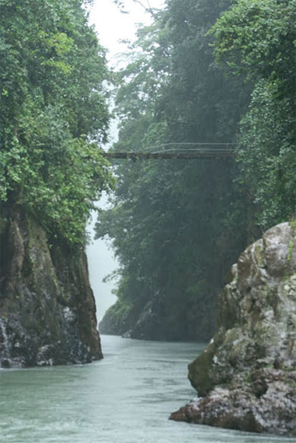 Descente en rafting à Turrialba