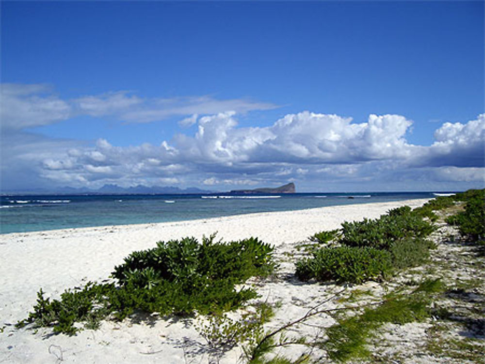 Plage de l'île Plate