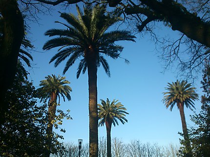 Jardins de l'Alameda de Santiago de Compostela