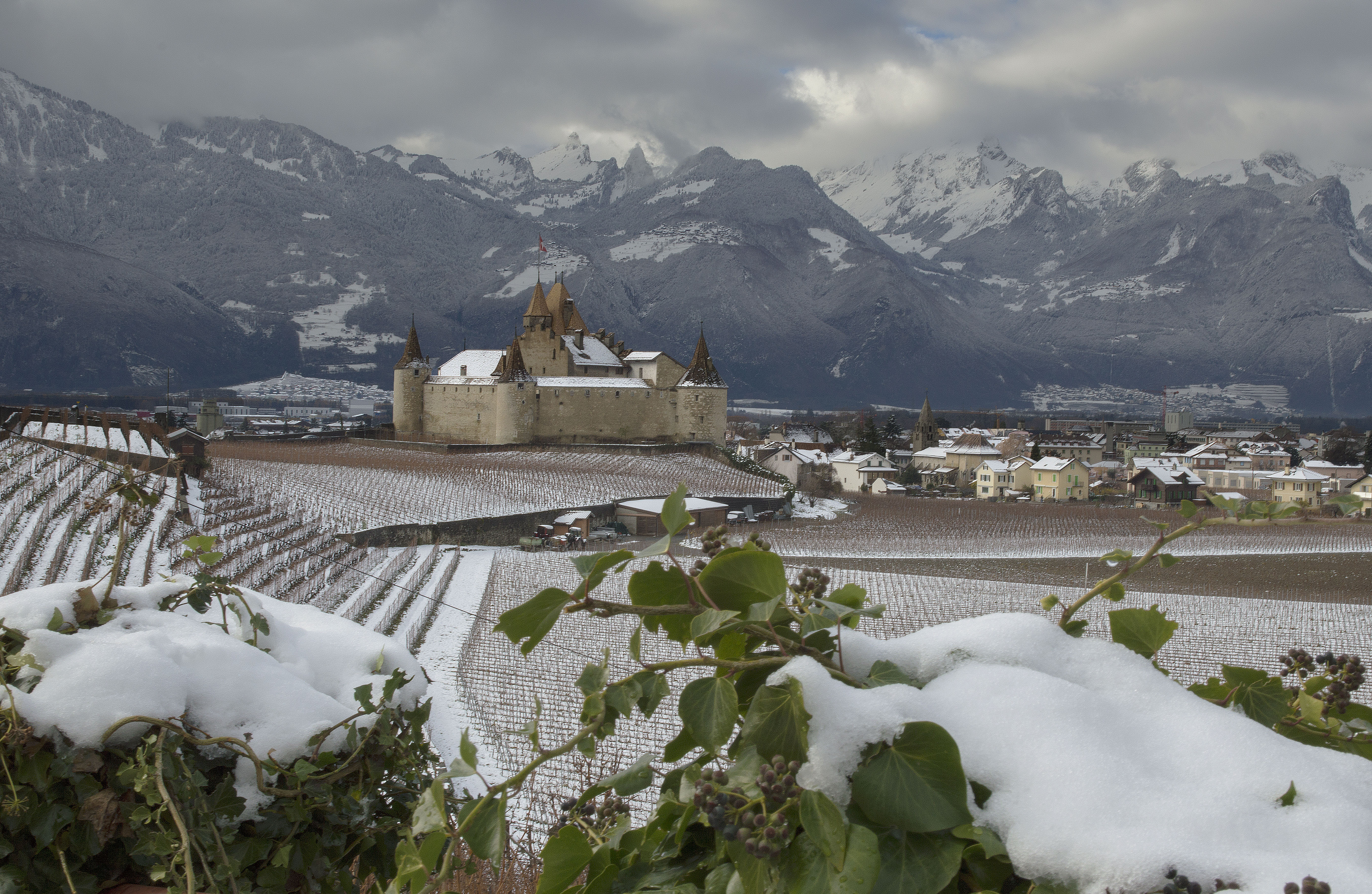 Château de Aigle Château de Aigle