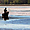 Lac Dayet Aoua - Le cavalier et son cheval