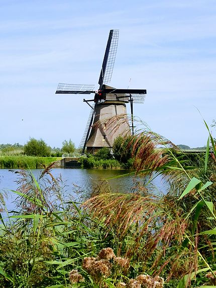 Un des moulins de Kinderdijk 