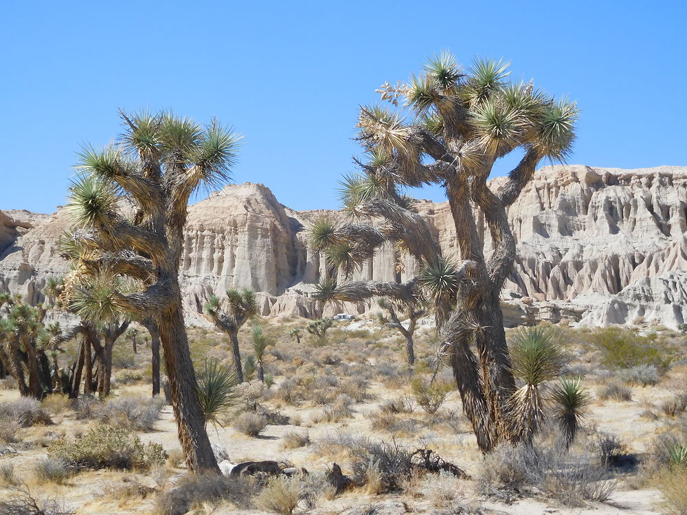 Red Rock Canyon