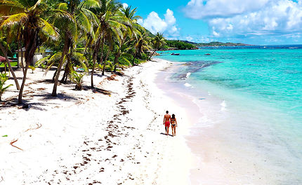 La Désirade : l'île naturelle de la Guadeloupe