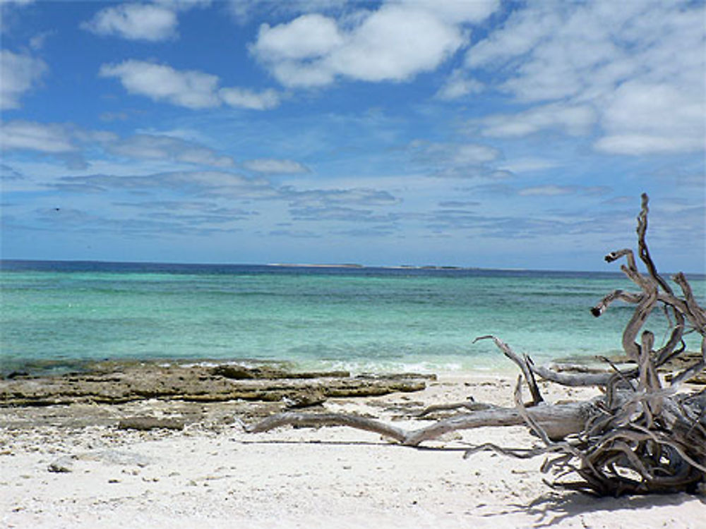 Lady Mustgrave Island