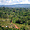 Forêt amazonienne vers Maripasoula