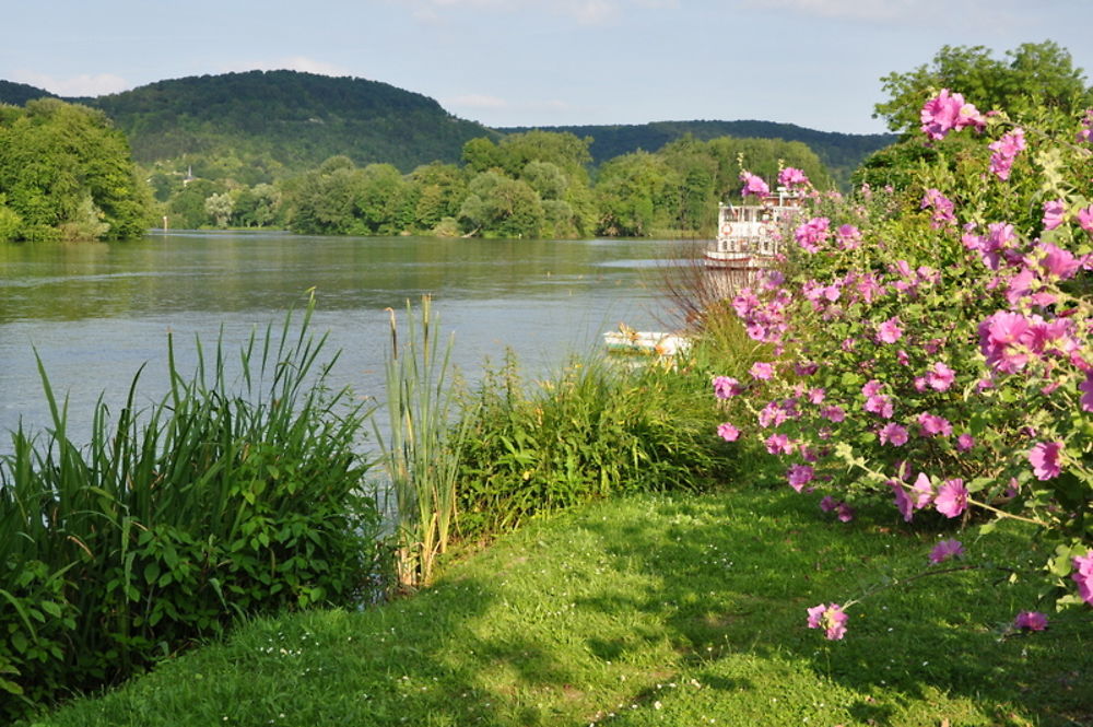 Bord de Seine à Poses Eure