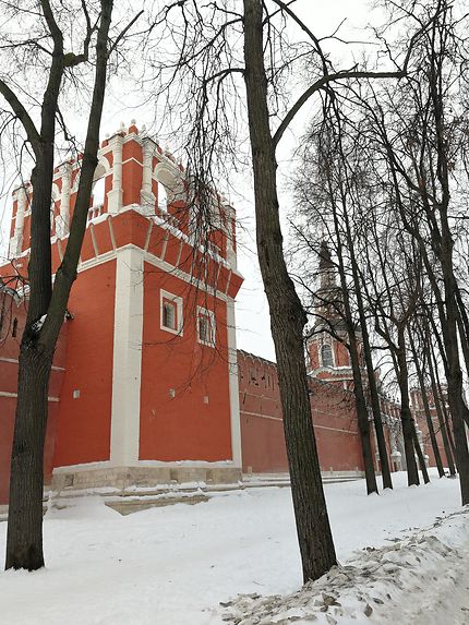 Les remparts du monastère Donskoi