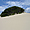 Fraser Island, la plus grande île de sable au monde