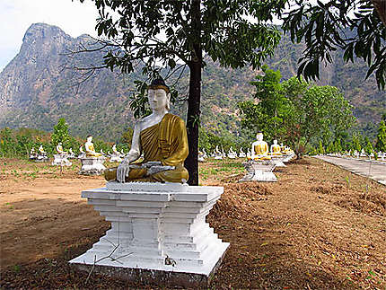 Des centaines de Bouddhas