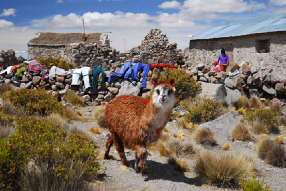 village de Parinacota