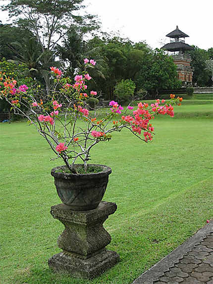 Jardin du Temple Pura Taman Ayun