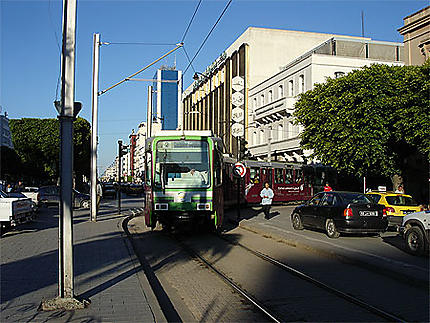 Tramway dans la nouvelle ville
