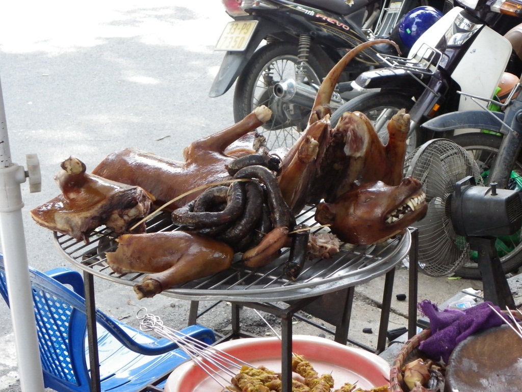 Chien laqué Chien laqué