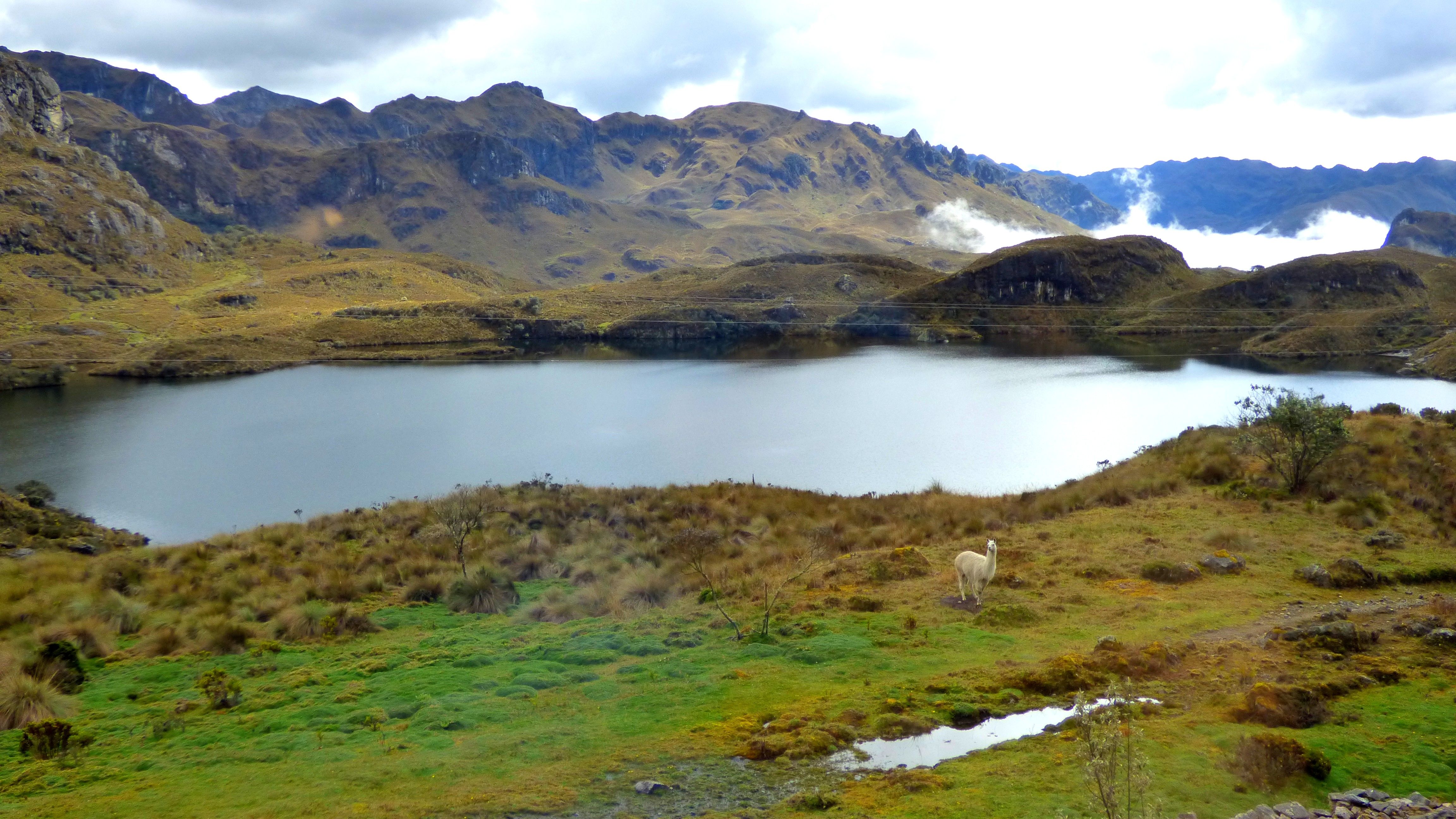 Parc national de Cajas, Équateur