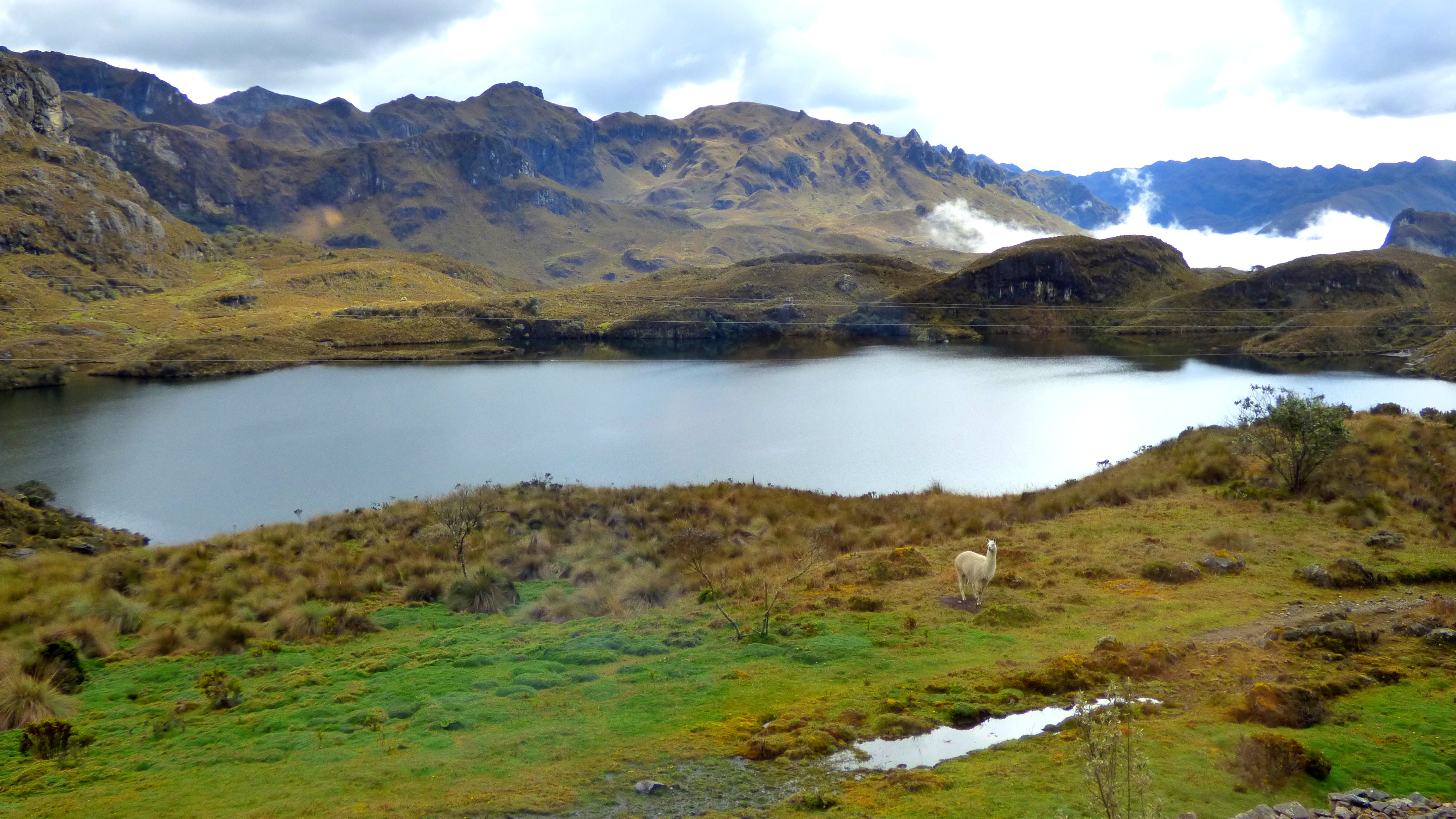 Parc national de Cajas, Équateur Parc national de Cajas, Équateur