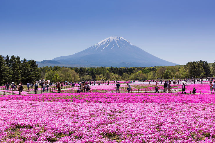 Wabi sabi, omotenashi, tatemae… Ces concepts qui rendent le Japon unique