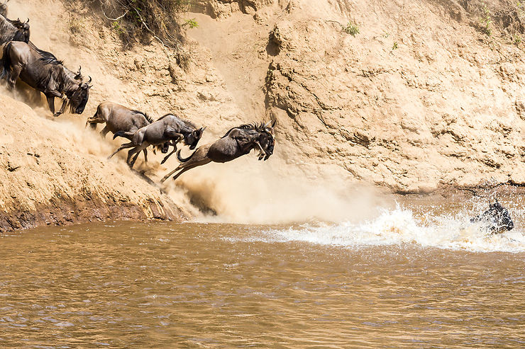 Réserve nationale du Masai Mara et la migration des Gnous : un spectacle inoubliable