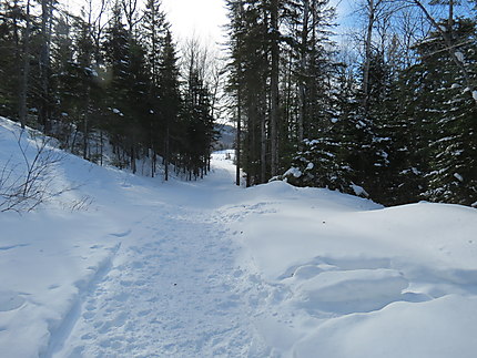 Décor hivernal à St-Donat-de-Rimouski
