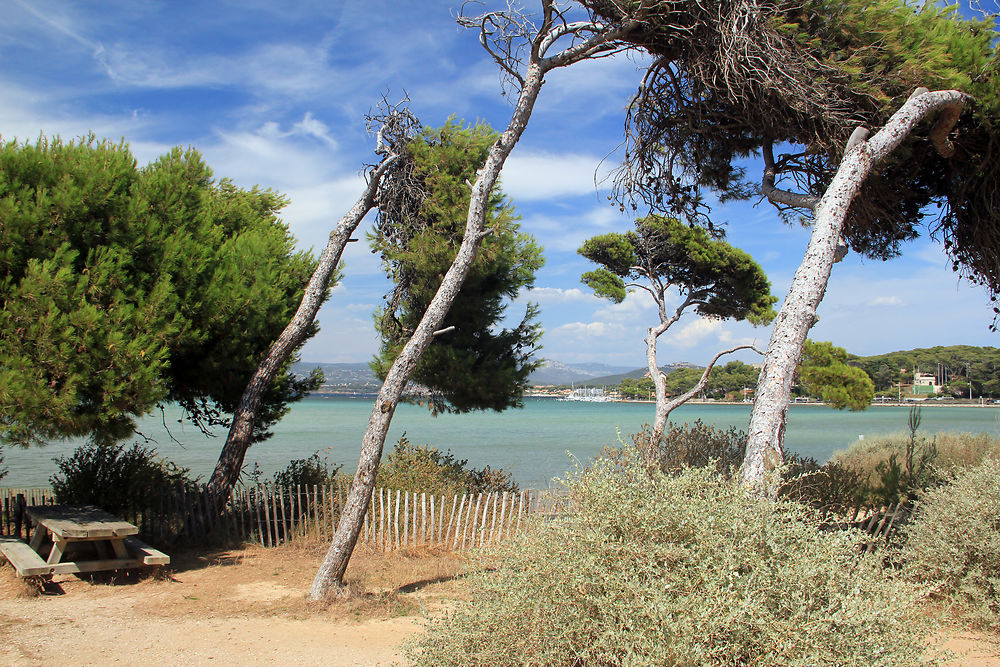 Presqu'île du Gaou