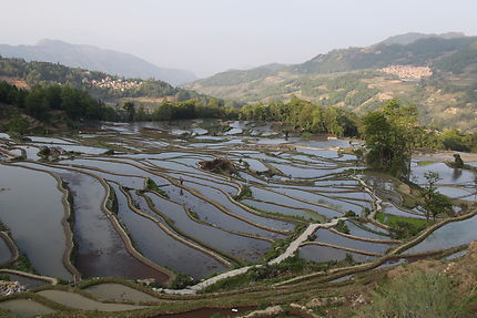 Route au milieu des rizières à Yunnan