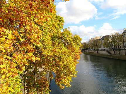 La Seine en automne
