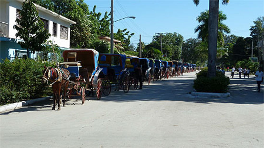 Bayamo la ville aux calèches